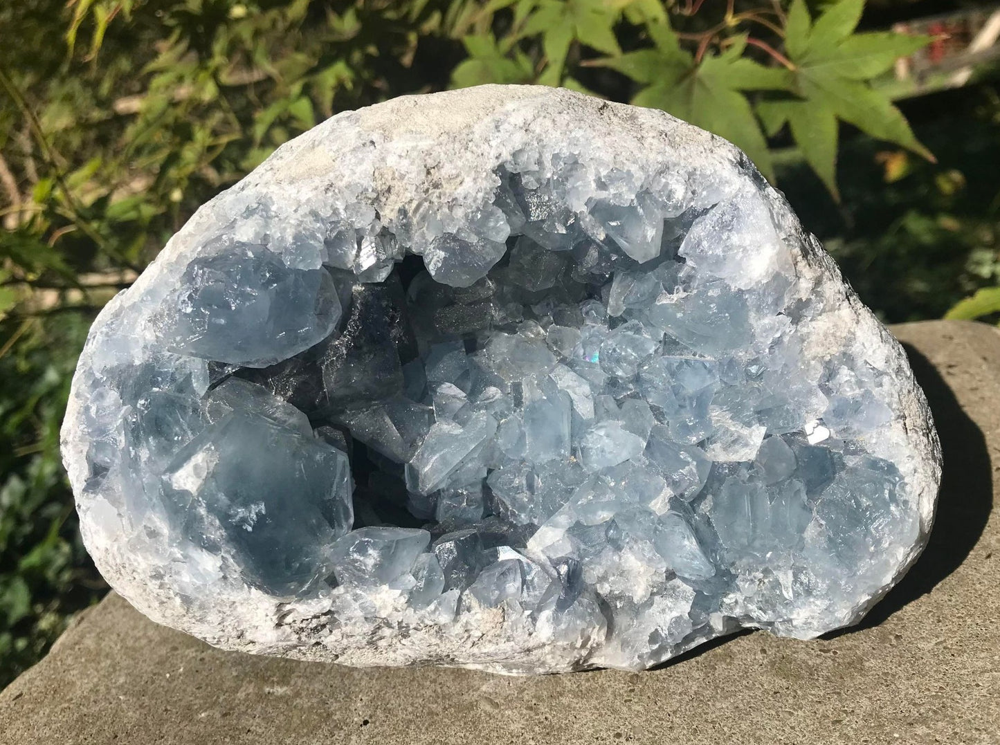 Celestite Geode ~ Madagascar