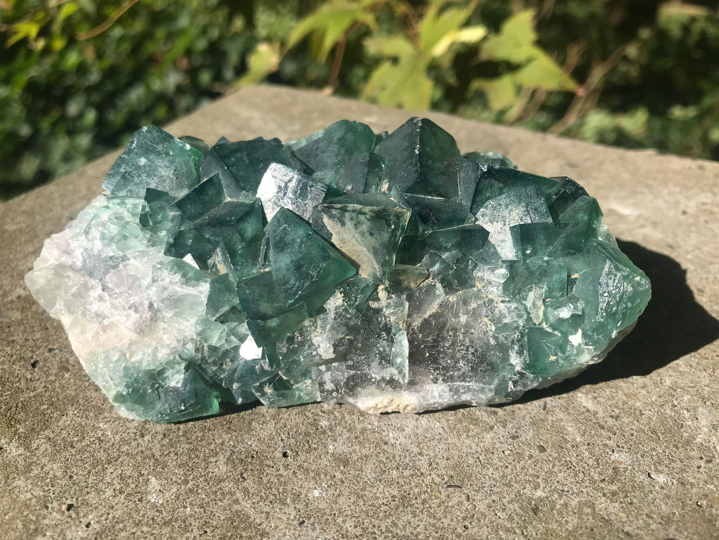 Green Fluorite Specimen ~ Madagascar