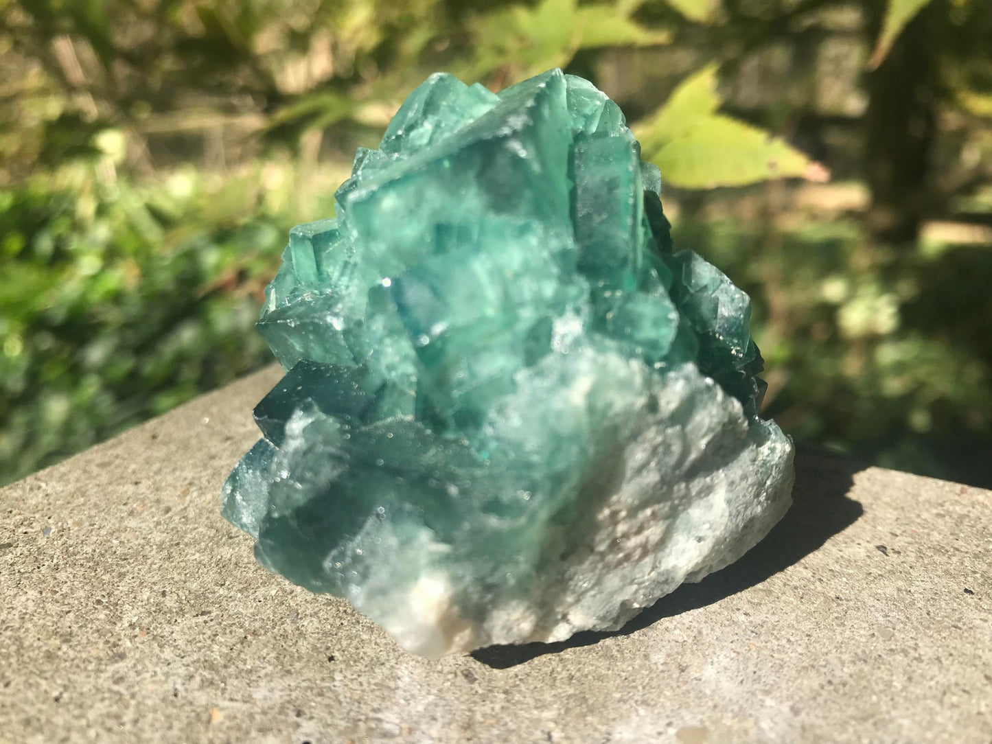 Green Fluorite Specimen ~ Madagascar