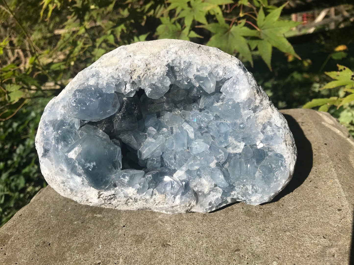 Celestite Geode ~ Madagascar