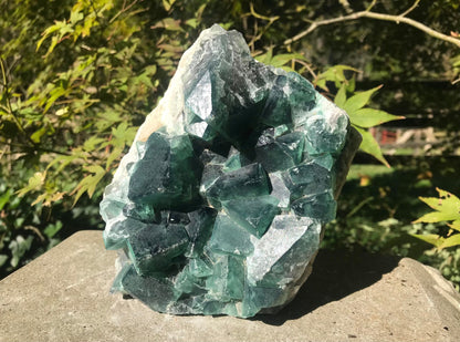 Green Fluorite Specimen ~ Madagascar