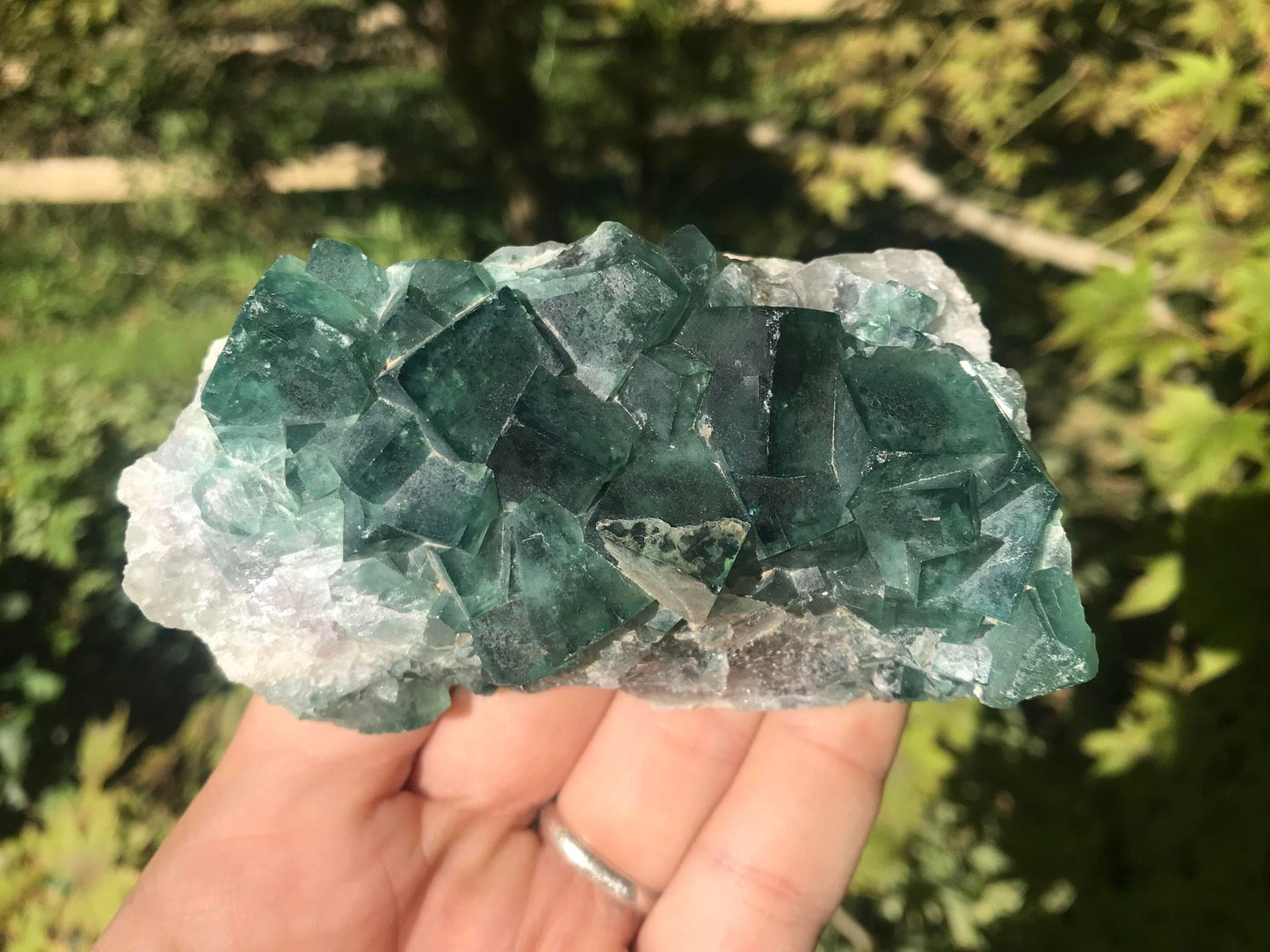 Green Fluorite Specimen ~ Madagascar