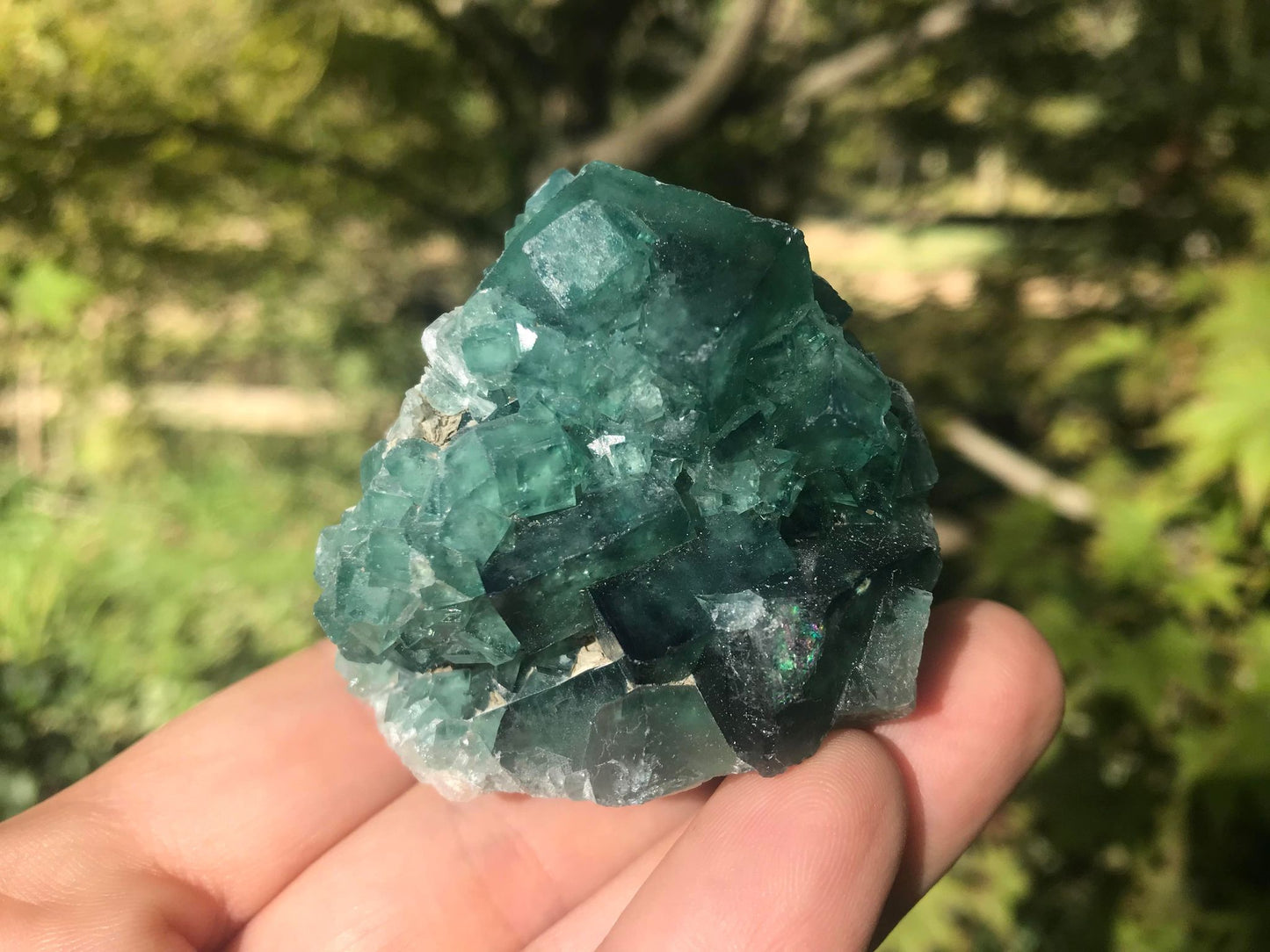 Green Fluorite Specimen ~ Madagascar