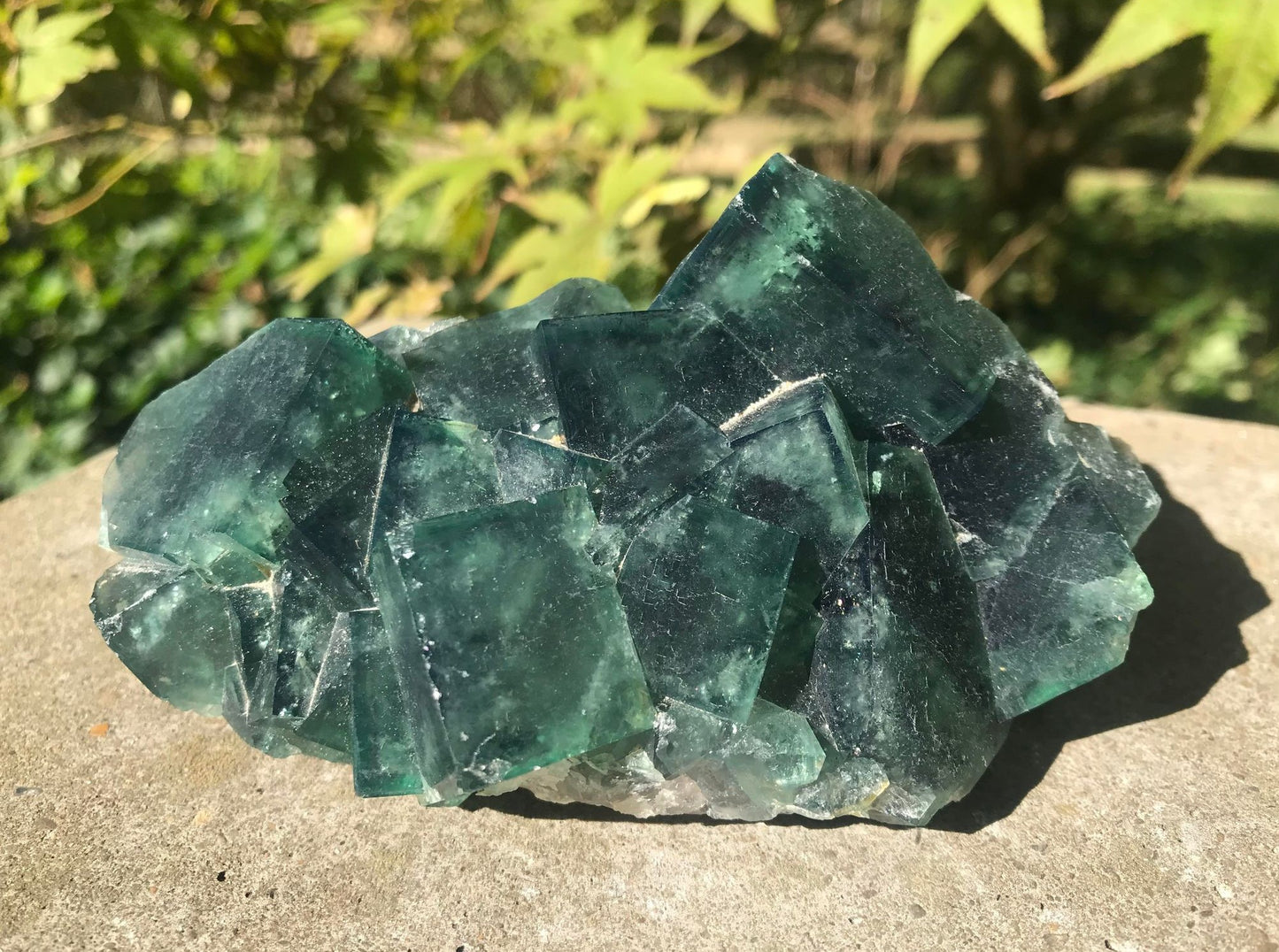 Green Fluorite Specimen ~ Madagascar