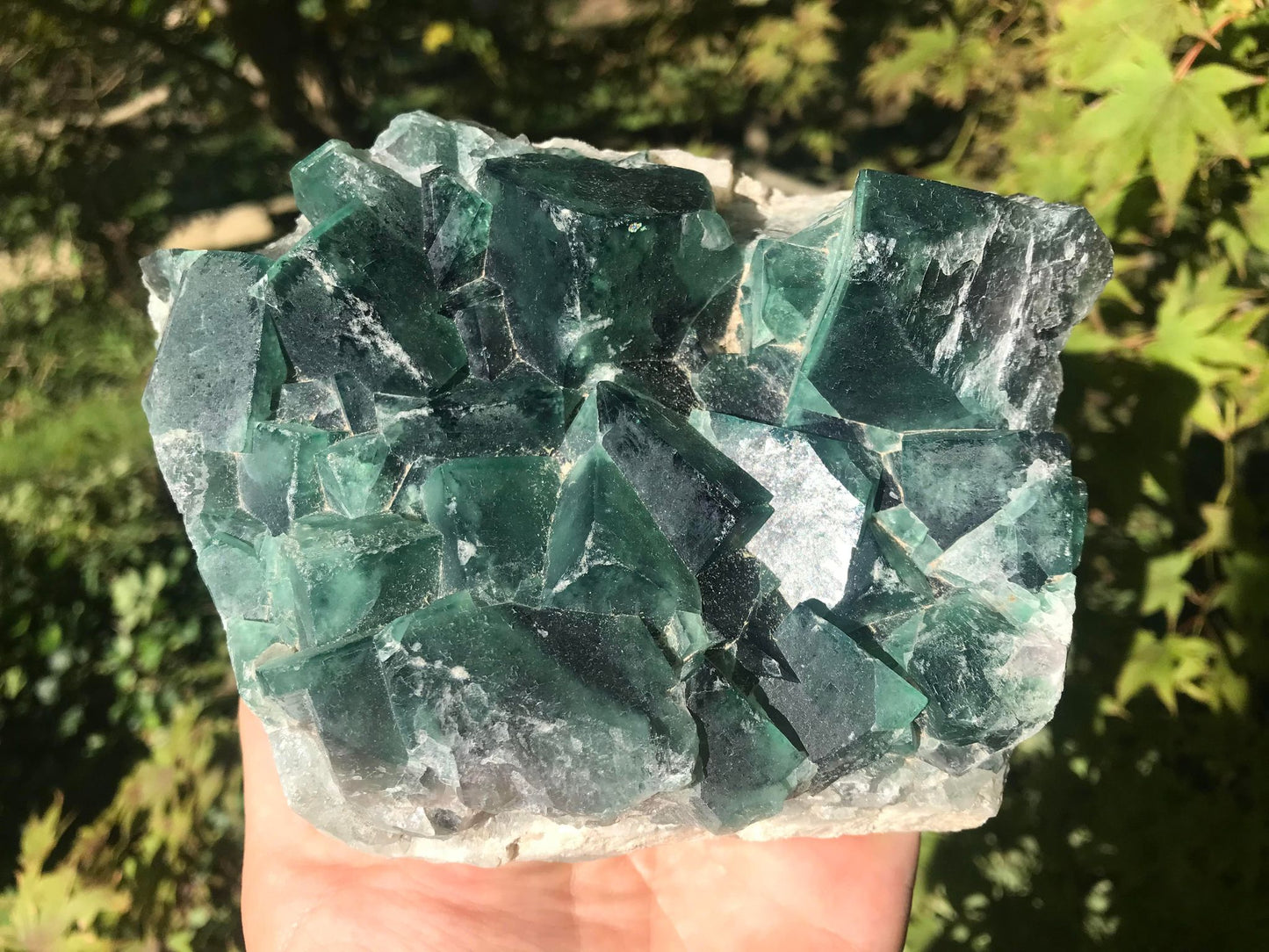 Green Fluorite Specimen ~ Madagascar