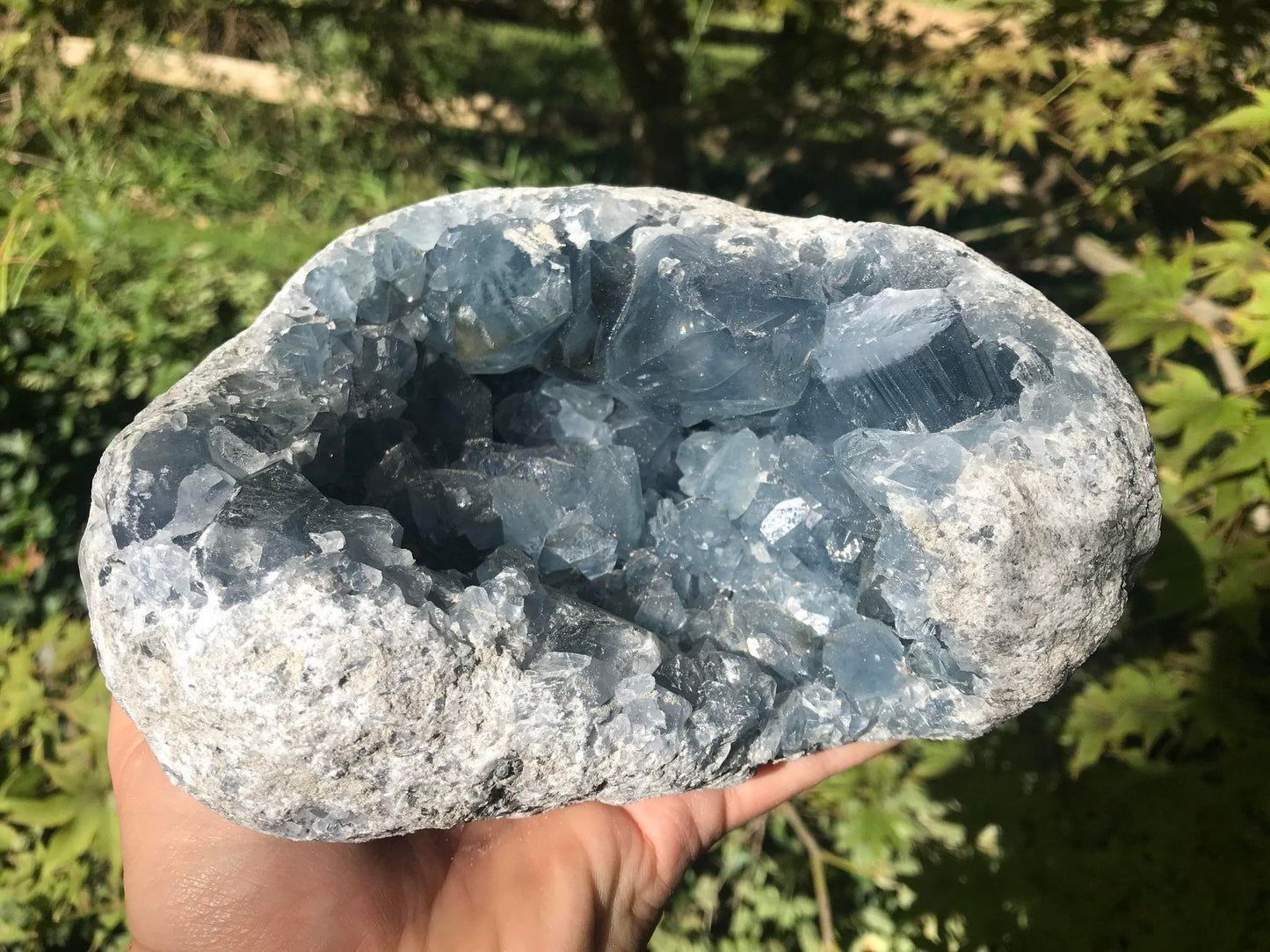 Celestite Geode ~ Madagascar