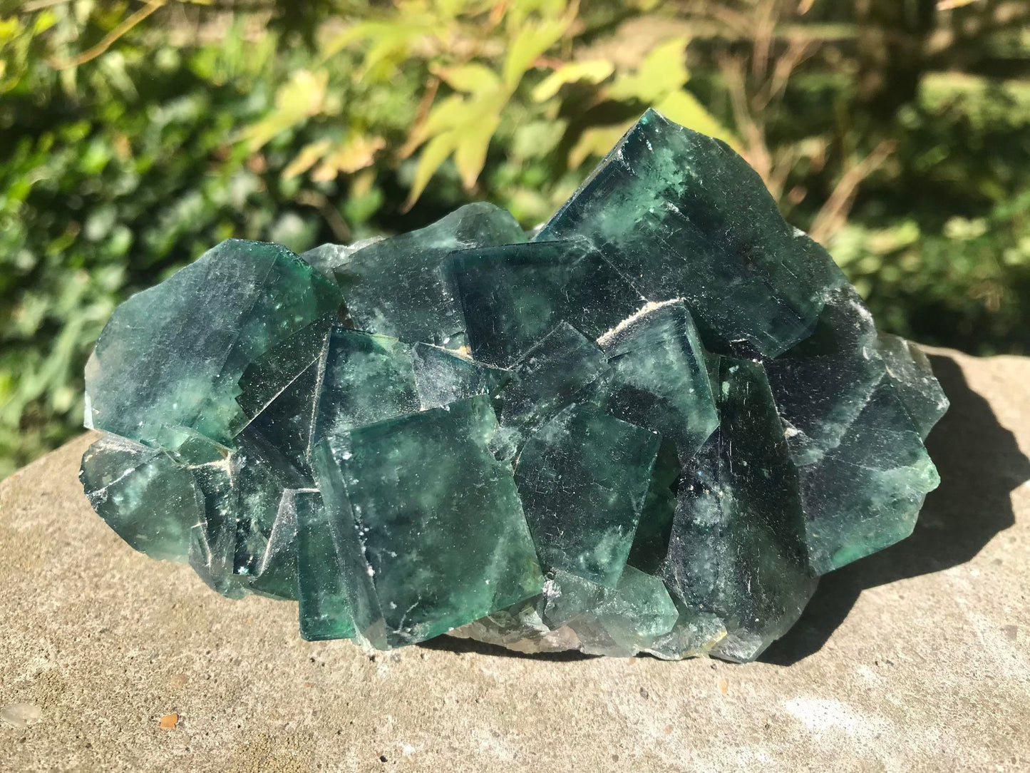 Green Fluorite Specimen ~ Madagascar