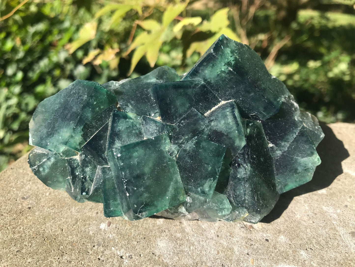 Green Fluorite Specimen ~ Madagascar