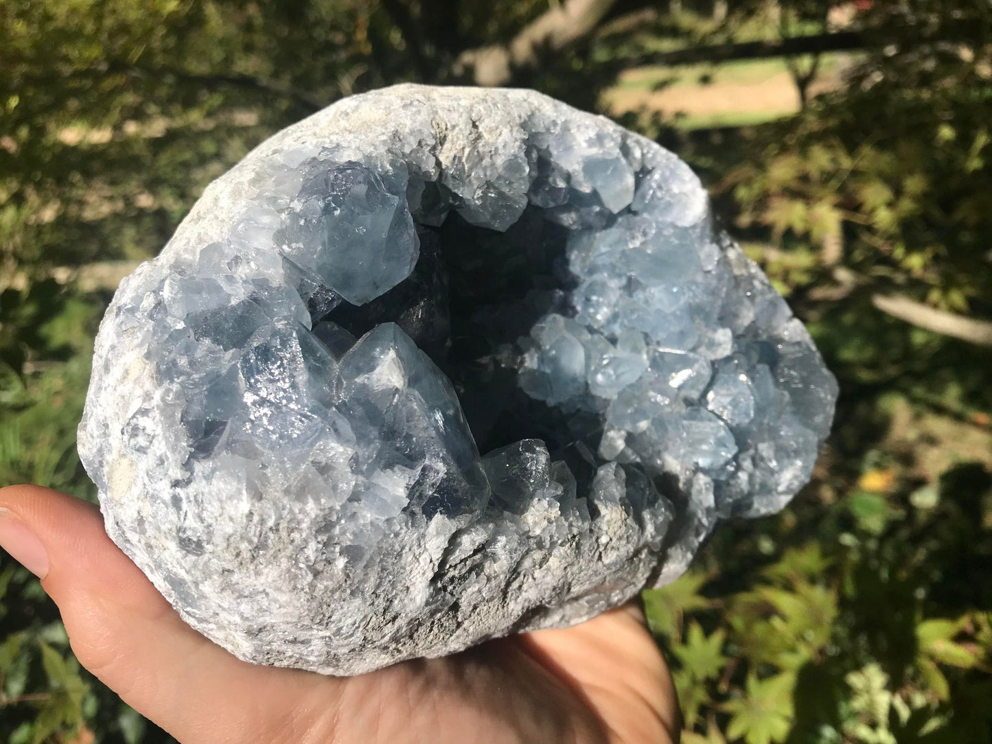 Celestite Geode ~ Madagascar