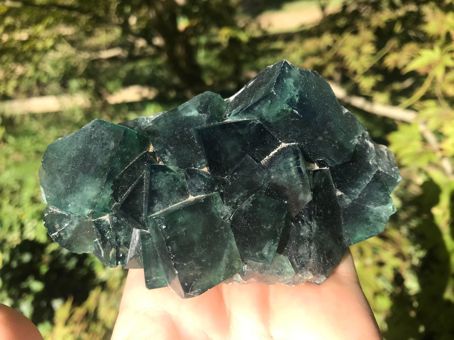 Green Fluorite Specimen ~ Madagascar