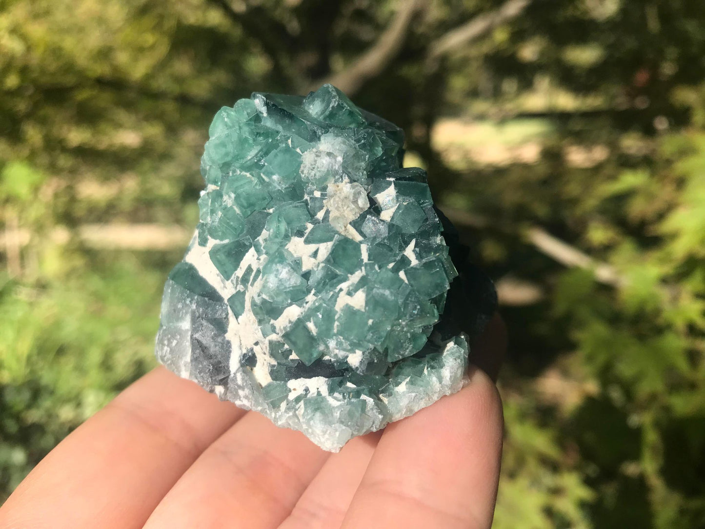 Green Fluorite Specimen ~ Madagascar