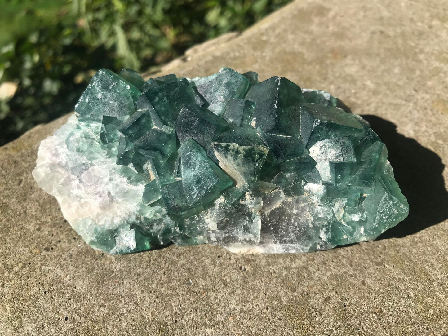 Green Fluorite Specimen ~ Madagascar