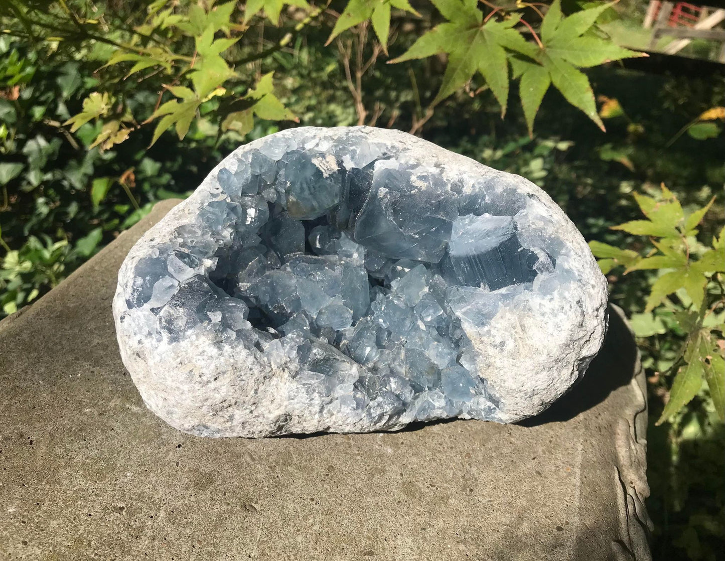 Celestite Geode ~ Madagascar