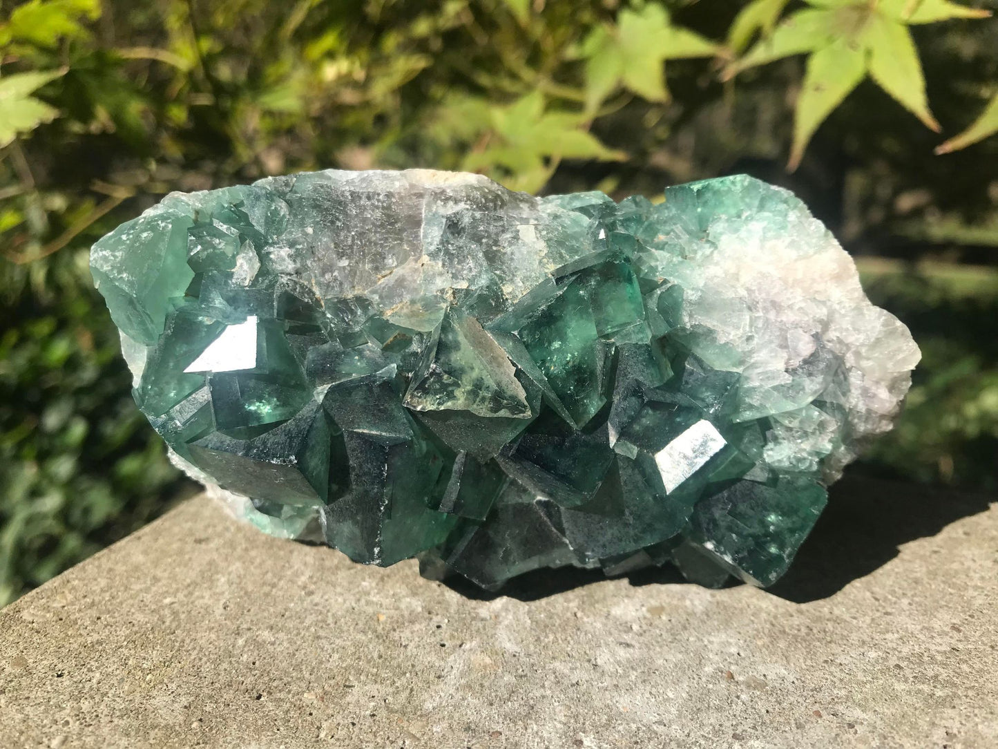 Green Fluorite Specimen ~ Madagascar