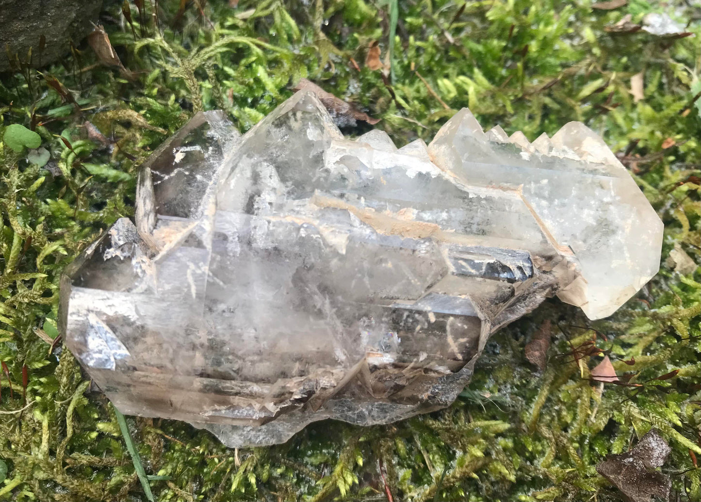 Smoky Elestial Quartz Specimen