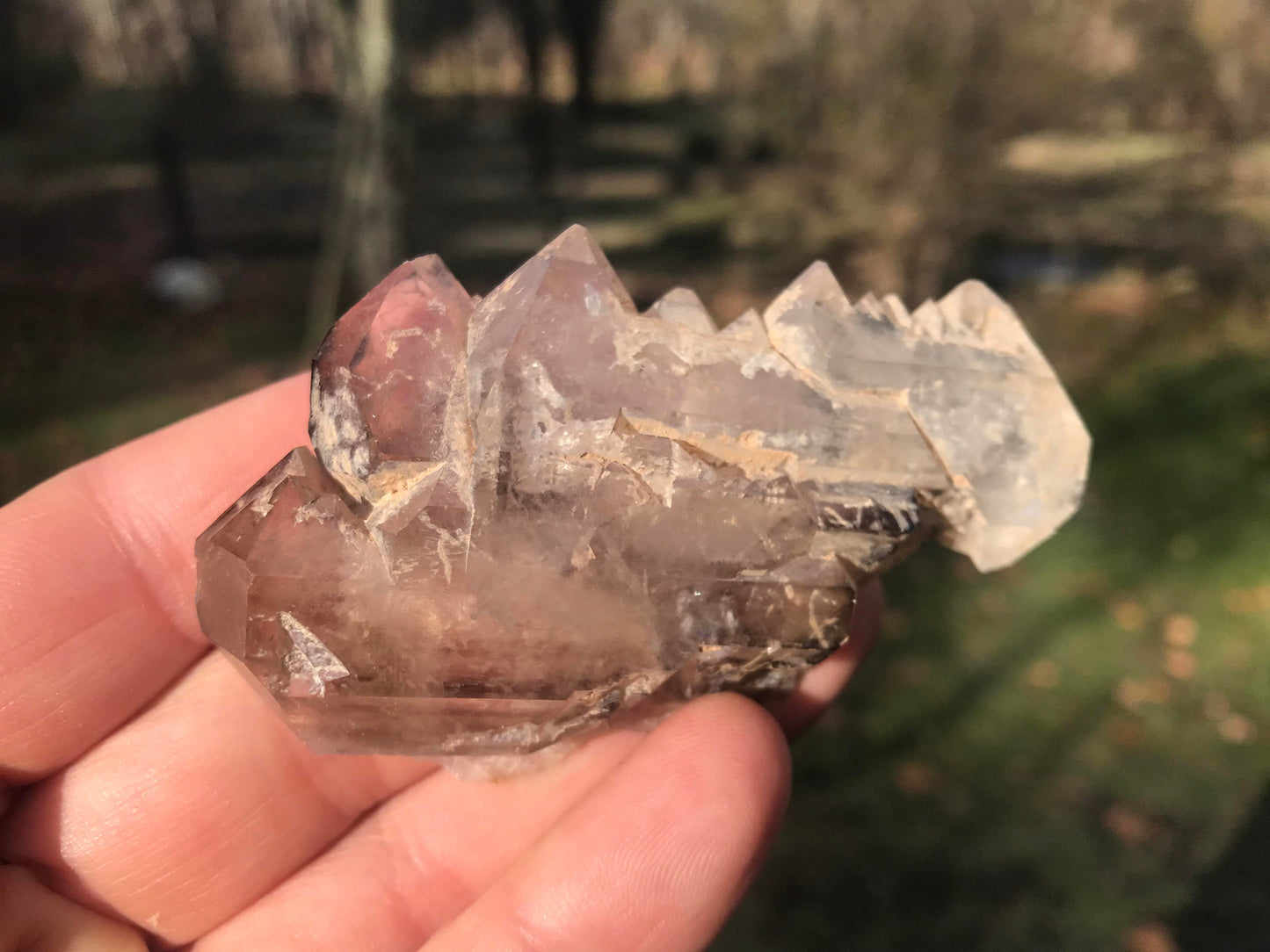 Smoky Elestial Quartz Specimen