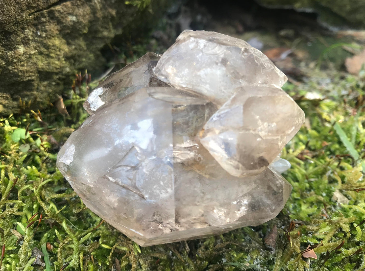 Smoky Elestial Quartz Specimen