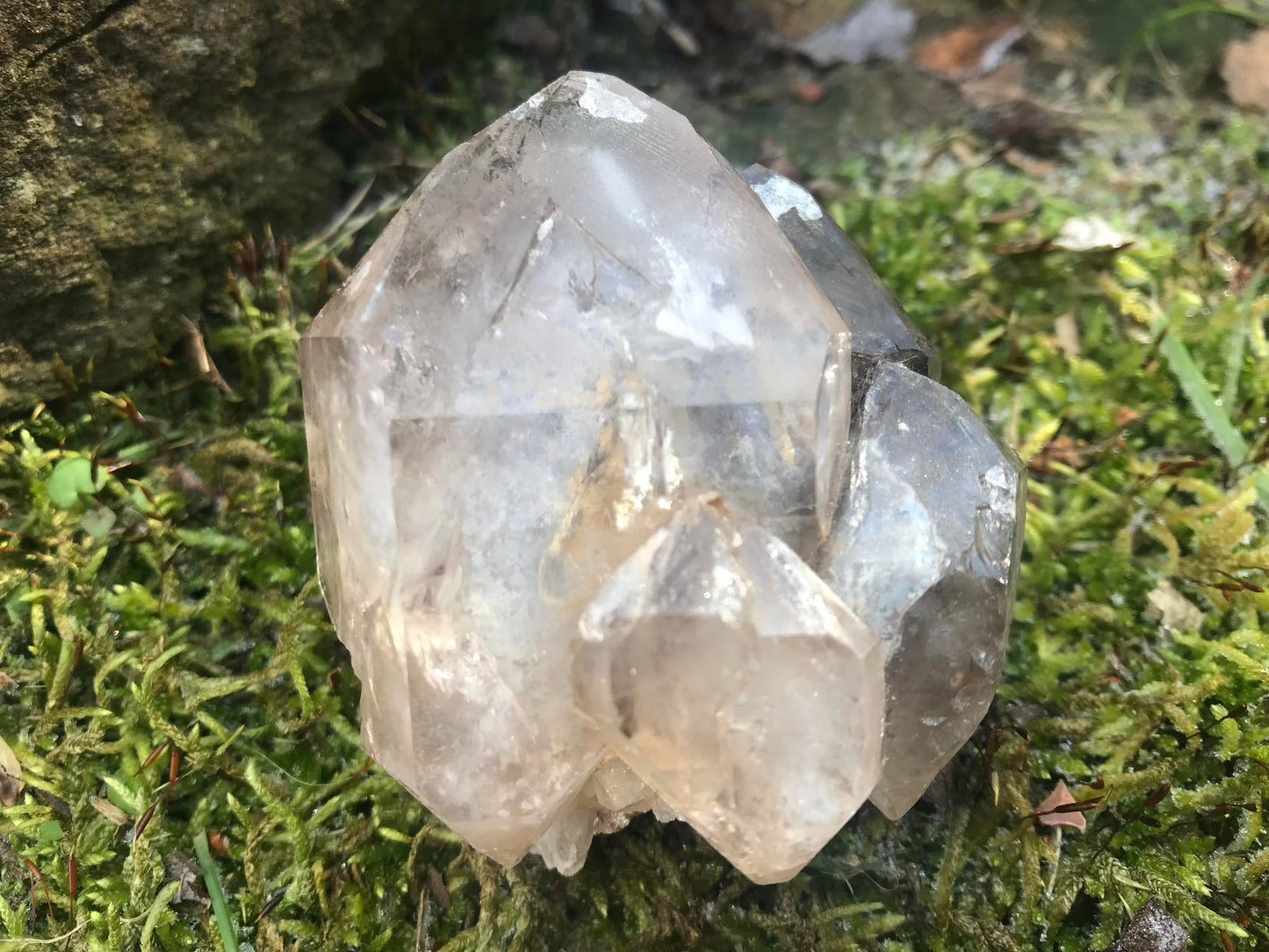 Smoky Elestial Quartz Specimen