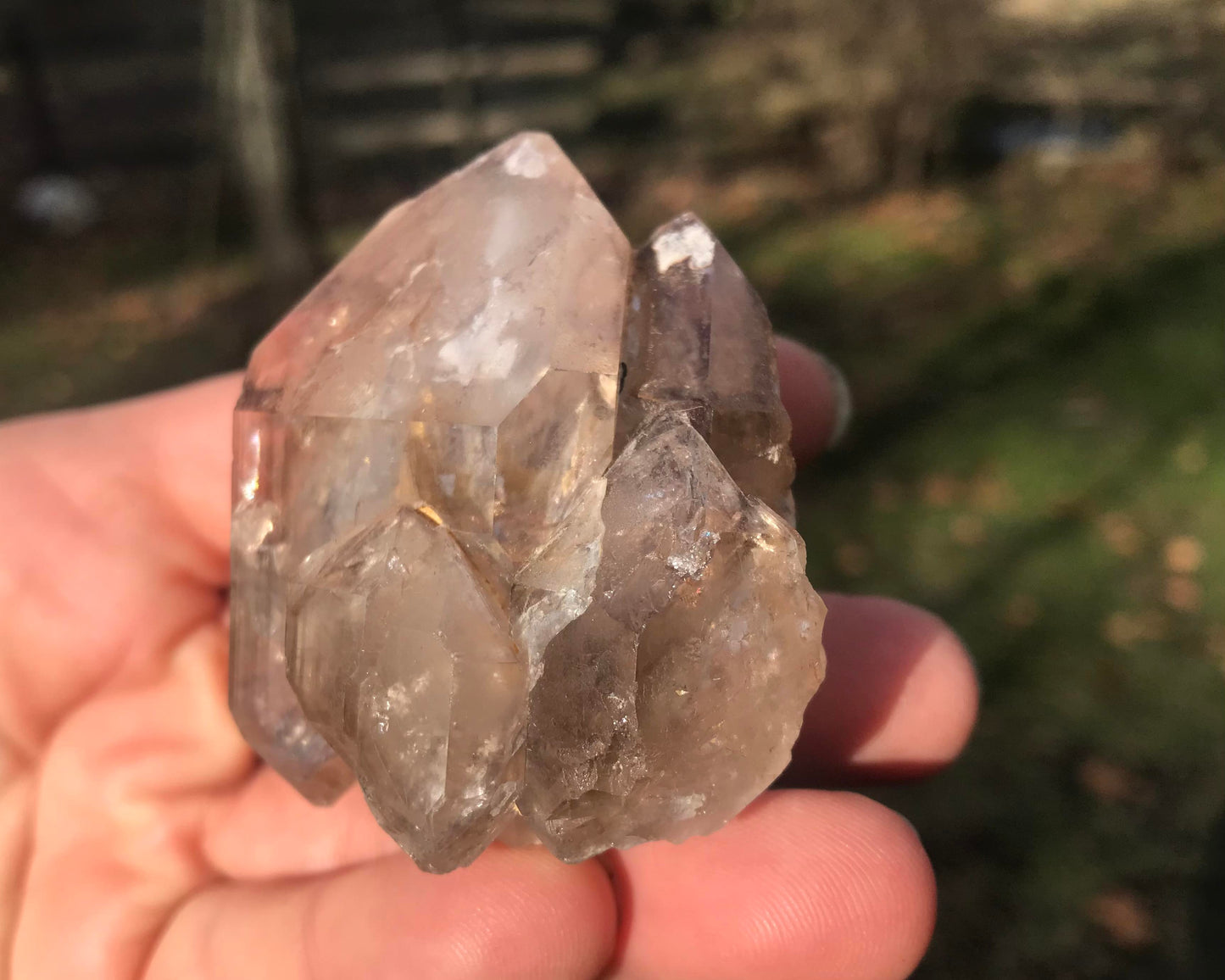 Smoky Elestial Quartz Specimen