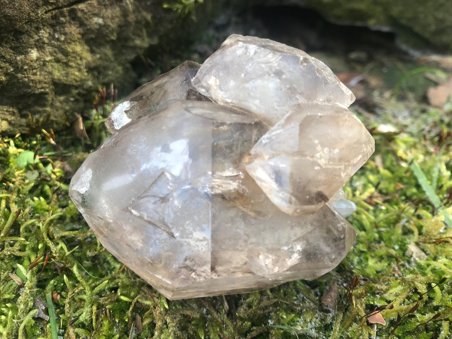 Smoky Elestial Quartz Specimen