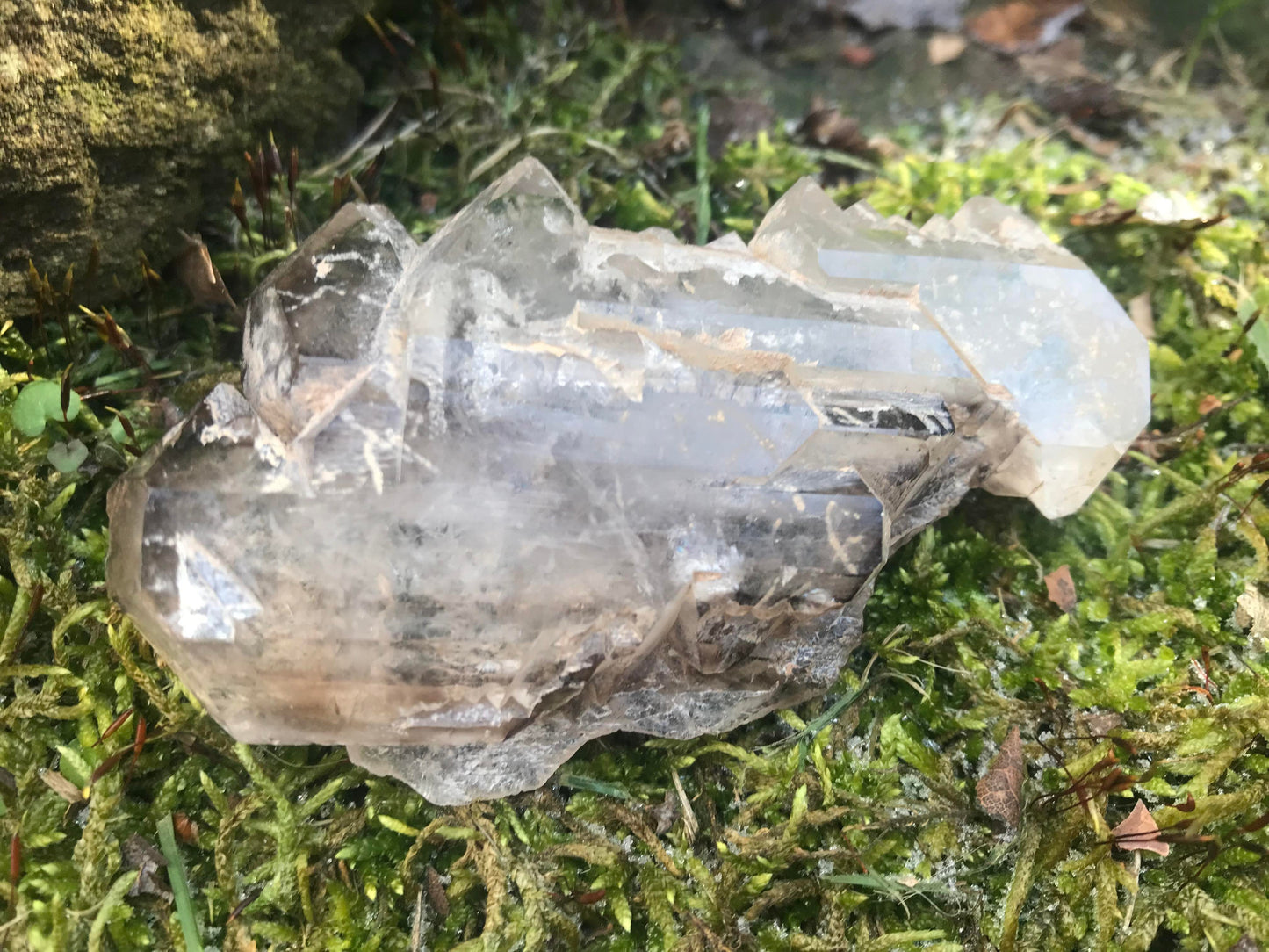 Smoky Elestial Quartz Specimen