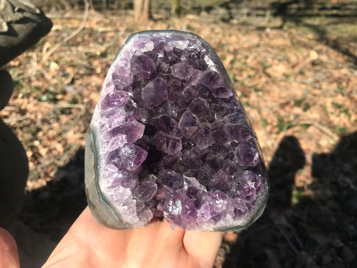 Amethyst Geode ~ Brazil
