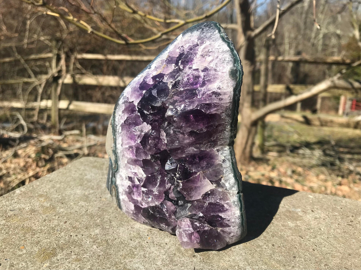 Amethyst Geode ~ Brazil