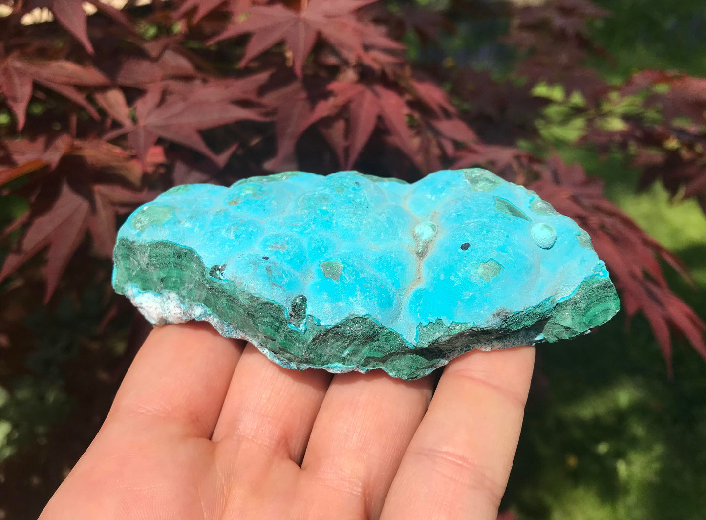 Chrysocolla & Malachite Specimen