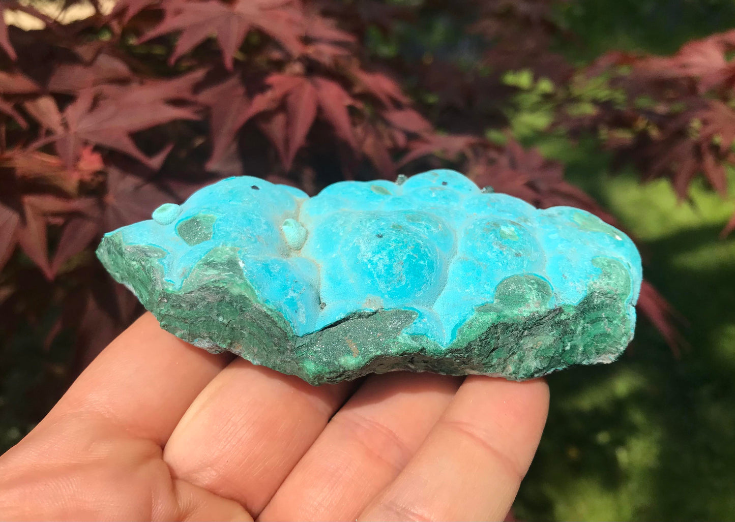 Chrysocolla & Malachite Specimen
