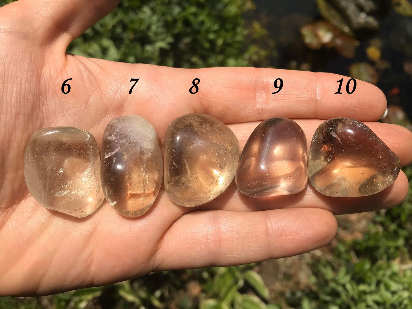 Citrine - Gem Realm 