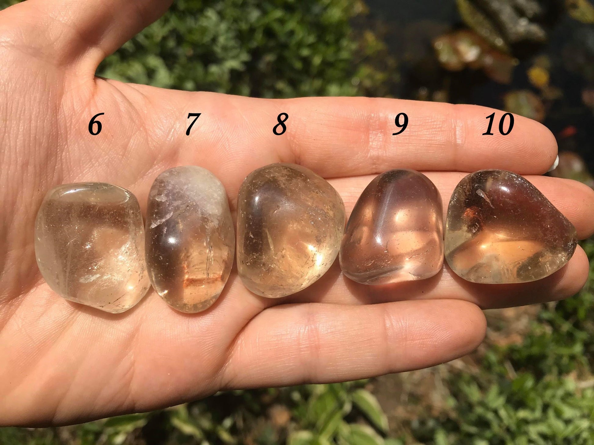 Citrine - Gem Realm 