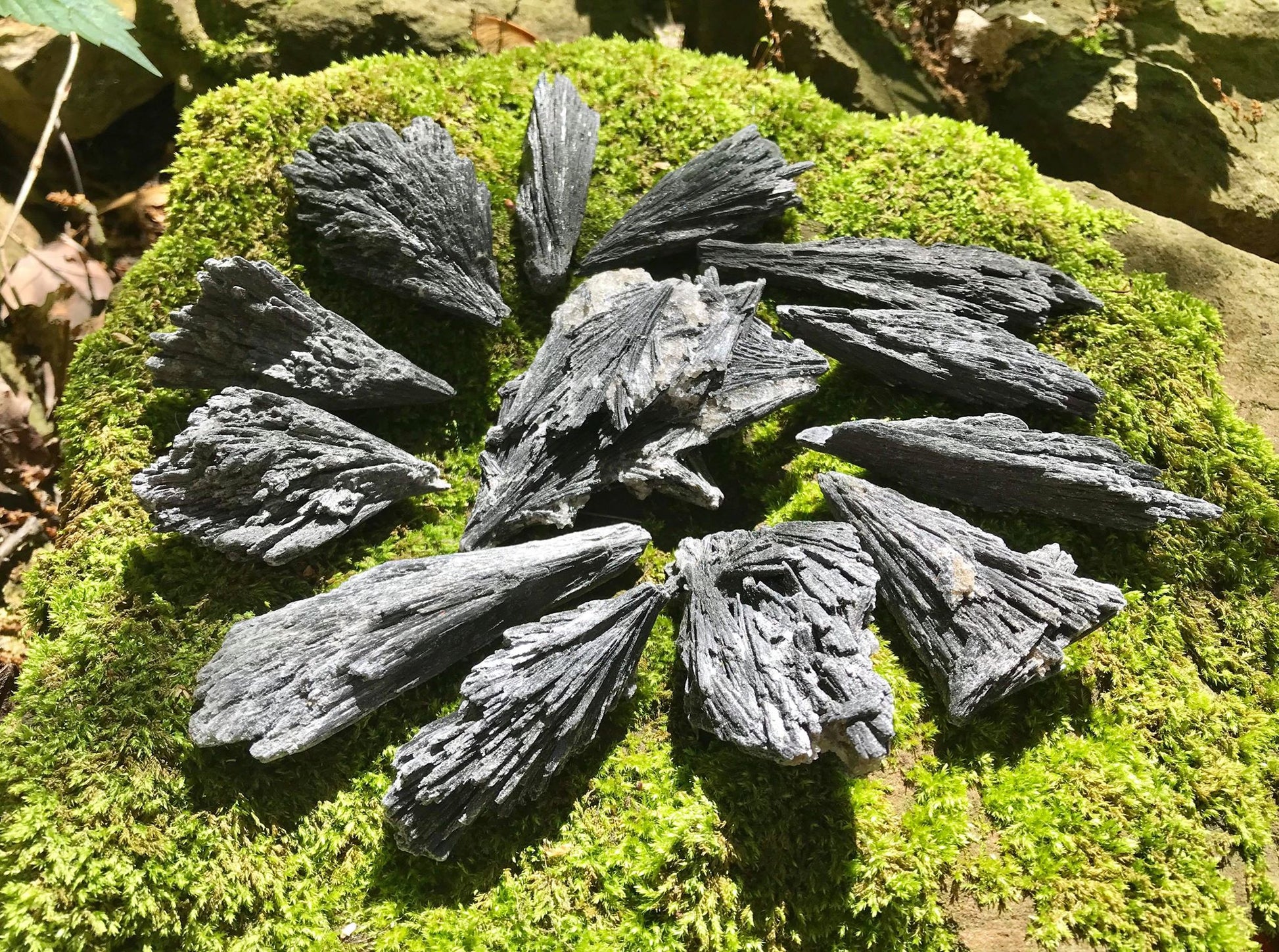 Black Kyanite Specimens - Gem Realm 