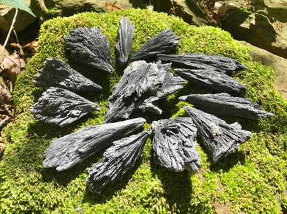 Black Kyanite Specimens - Gem Realm 