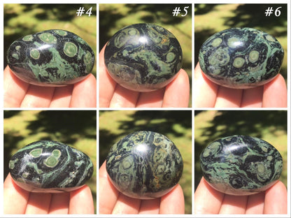 Kambaba Jasper Palm Stones - Gem Realm 