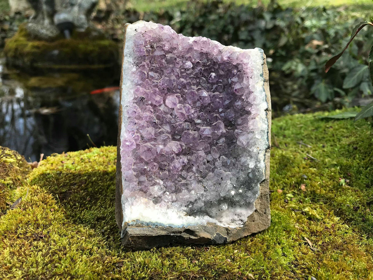 Amethyst Geode - Gem Realm 