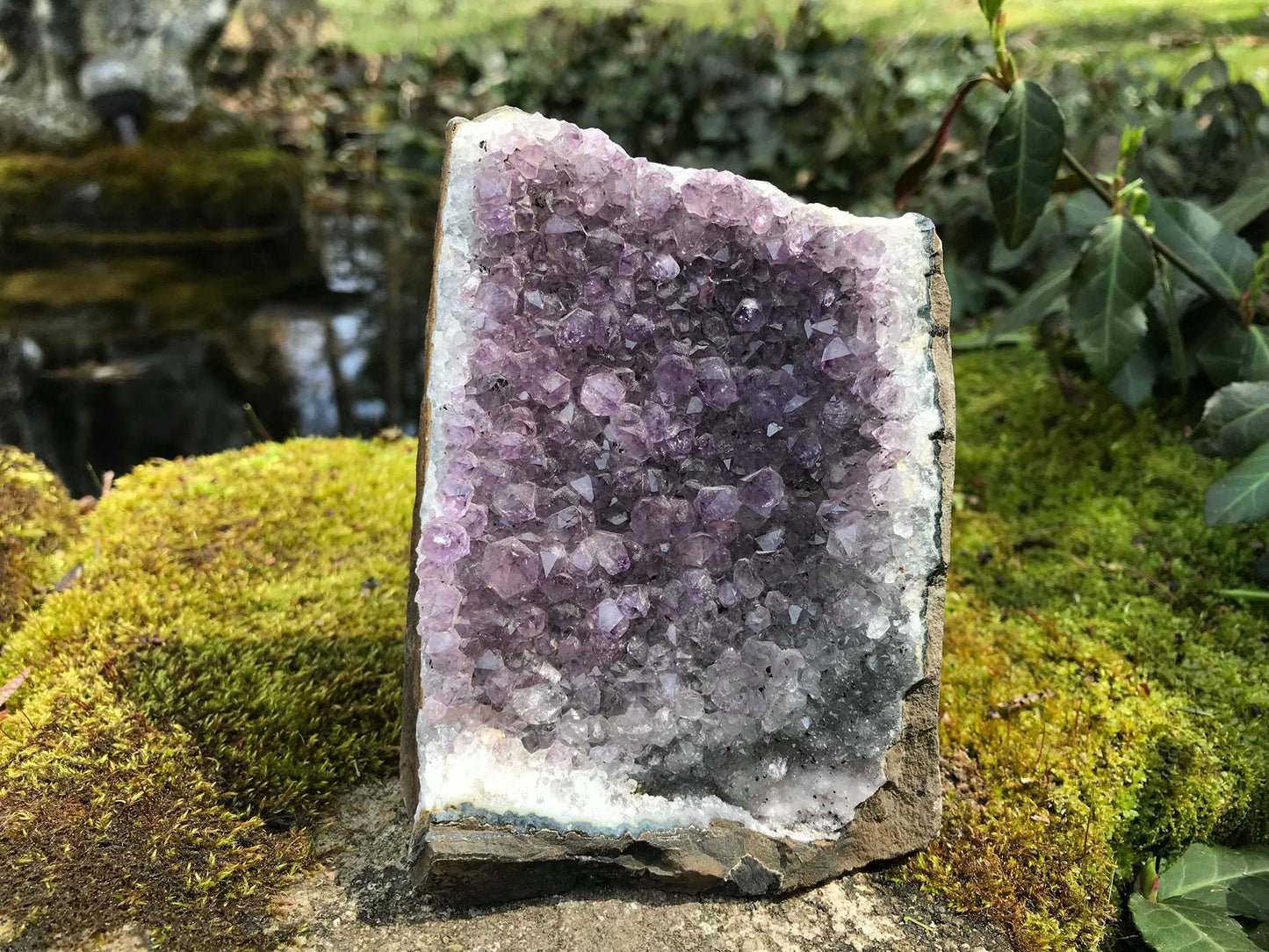 Amethyst Geode - Gem Realm 