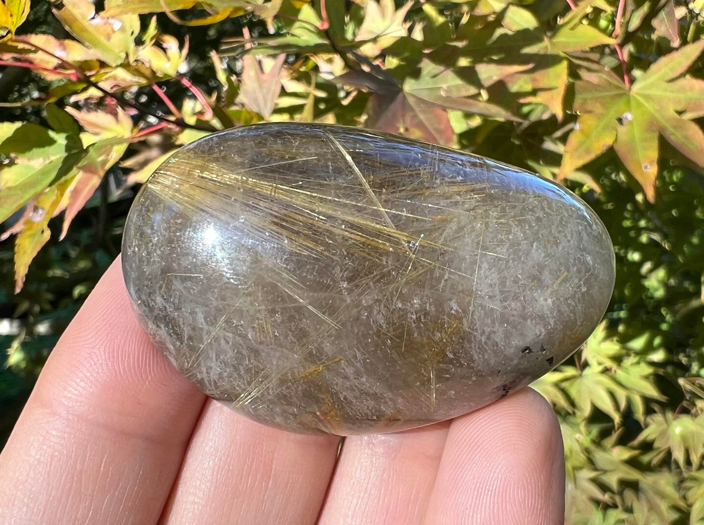 Rutilated Quartz Dome