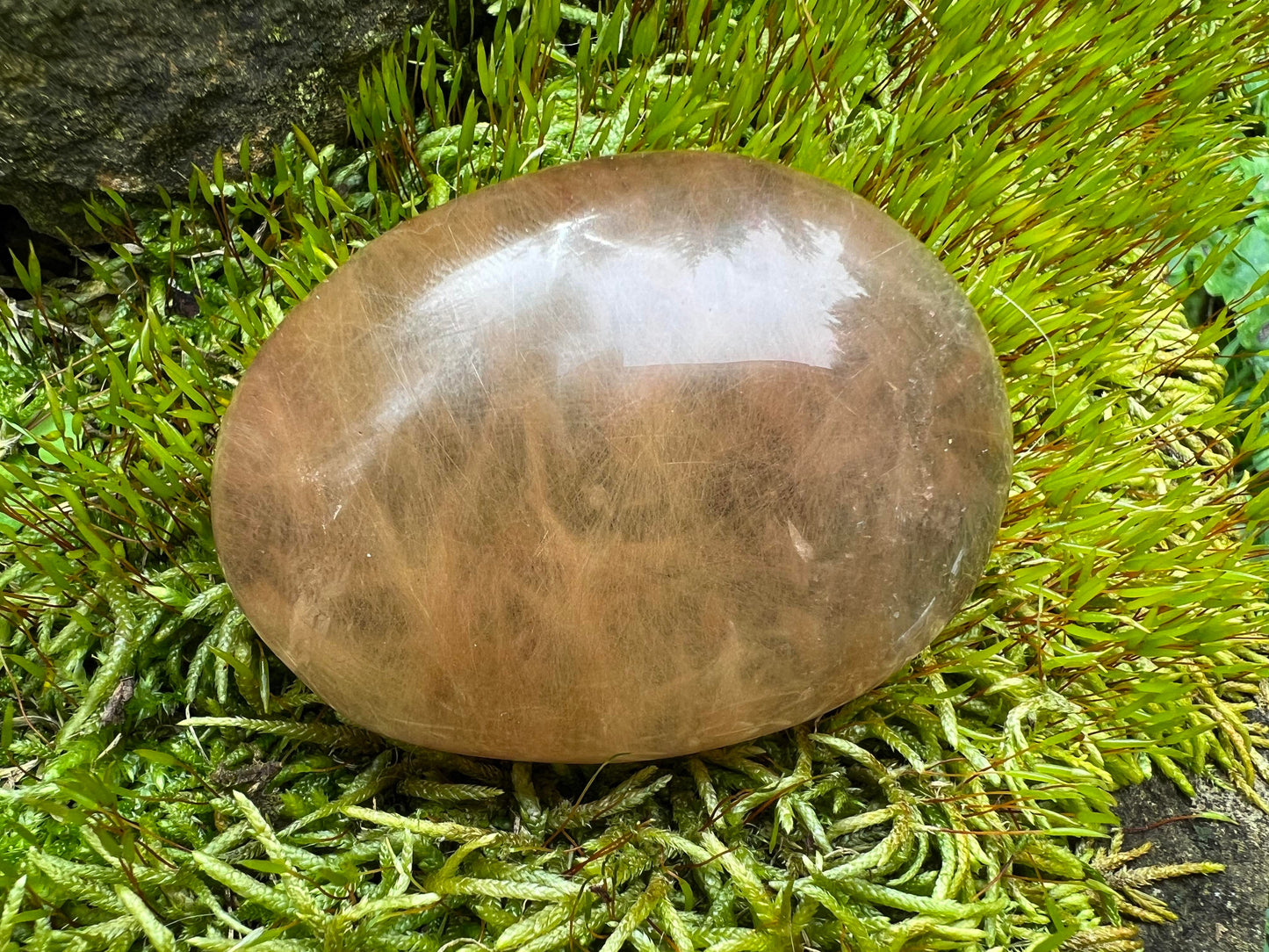 Rutilated Quartz Dome