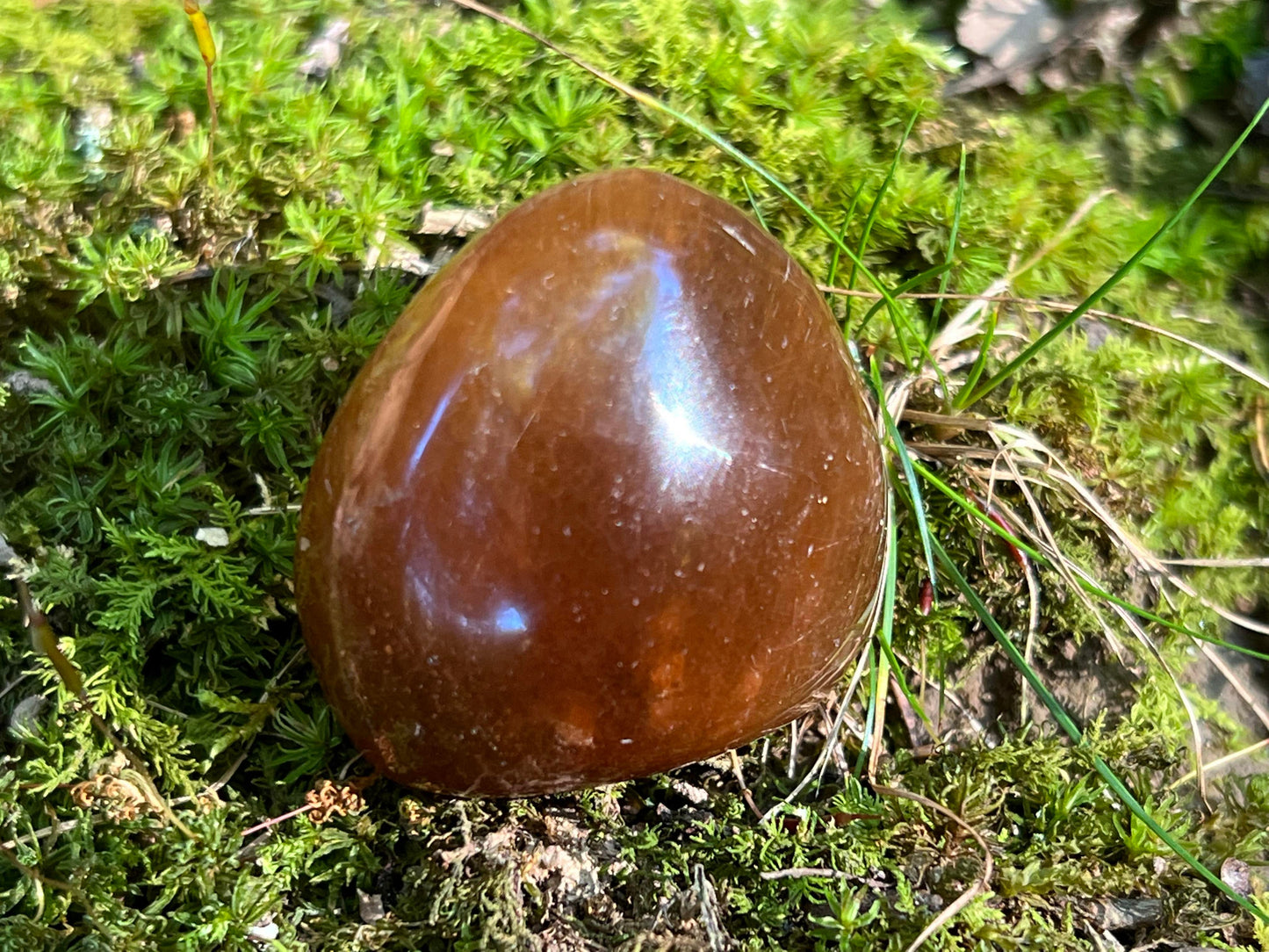 Rutilated and Amphibole Quartz Dome Pair