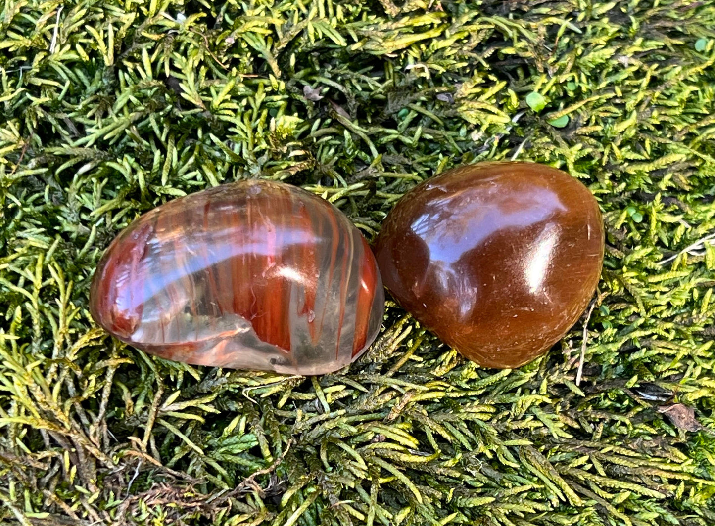 Rutilated and Amphibole Quartz Dome Pair