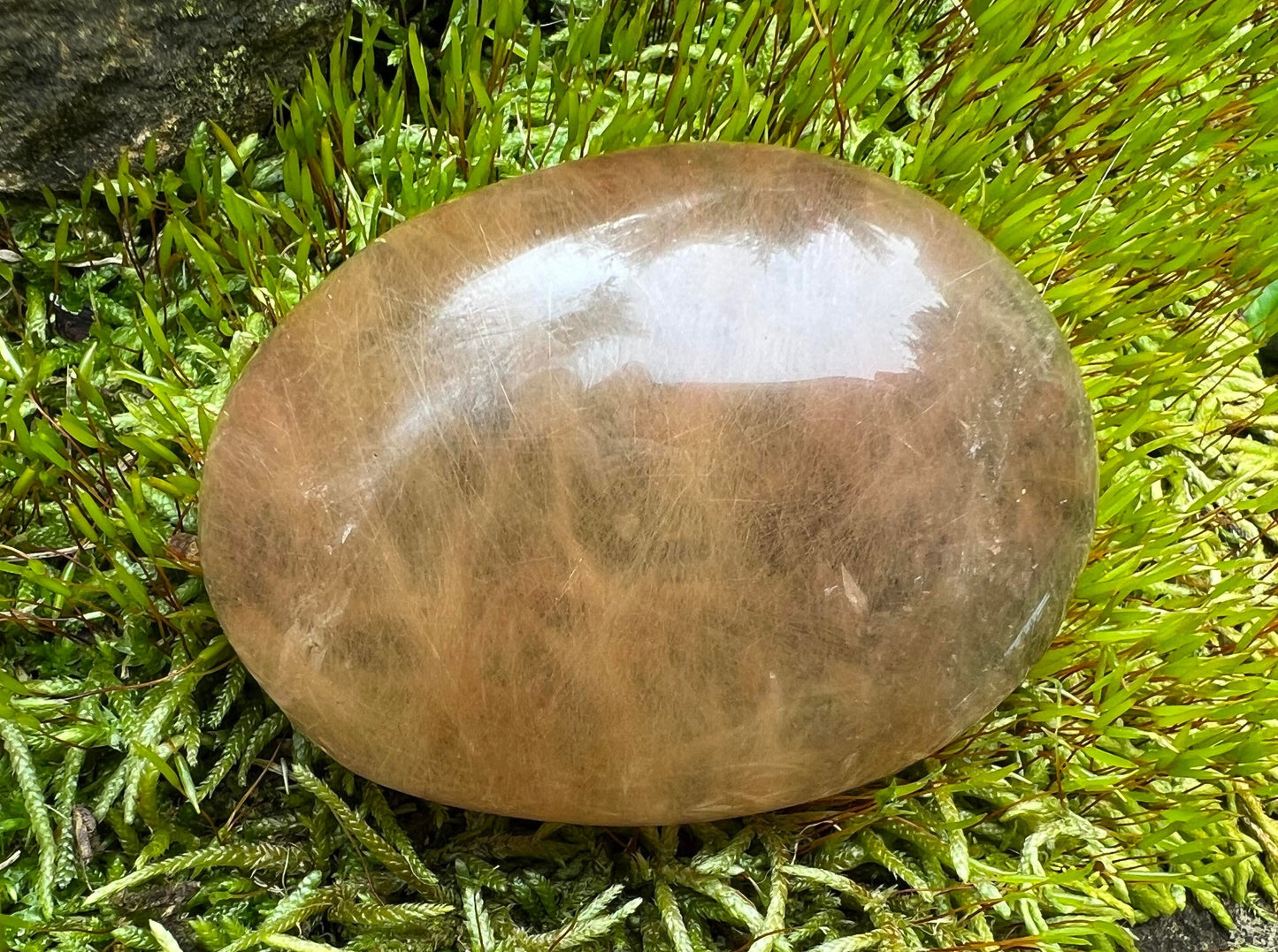 Rutilated Quartz Dome