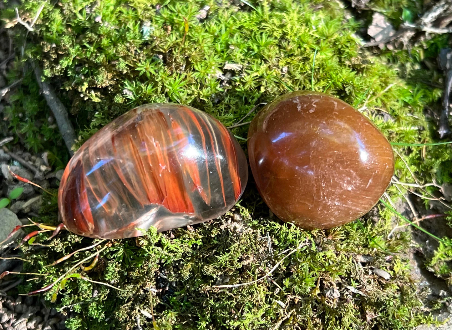 Rutilated and Amphibole Quartz Dome Pair