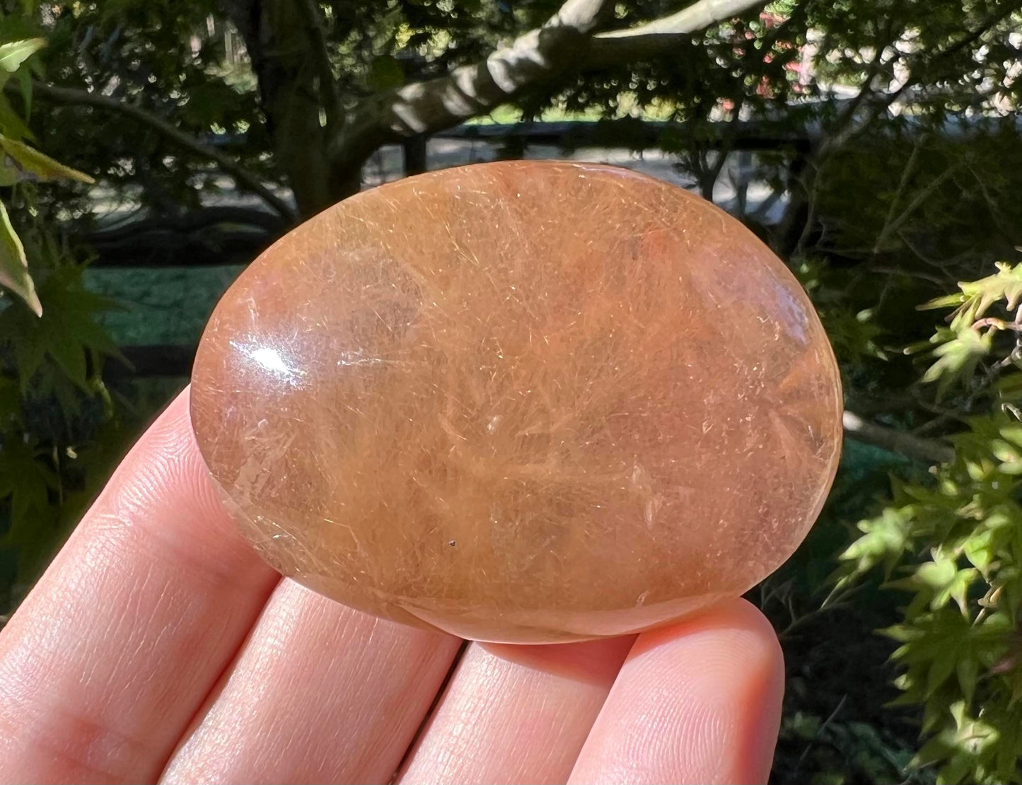 Rutilated Quartz Dome