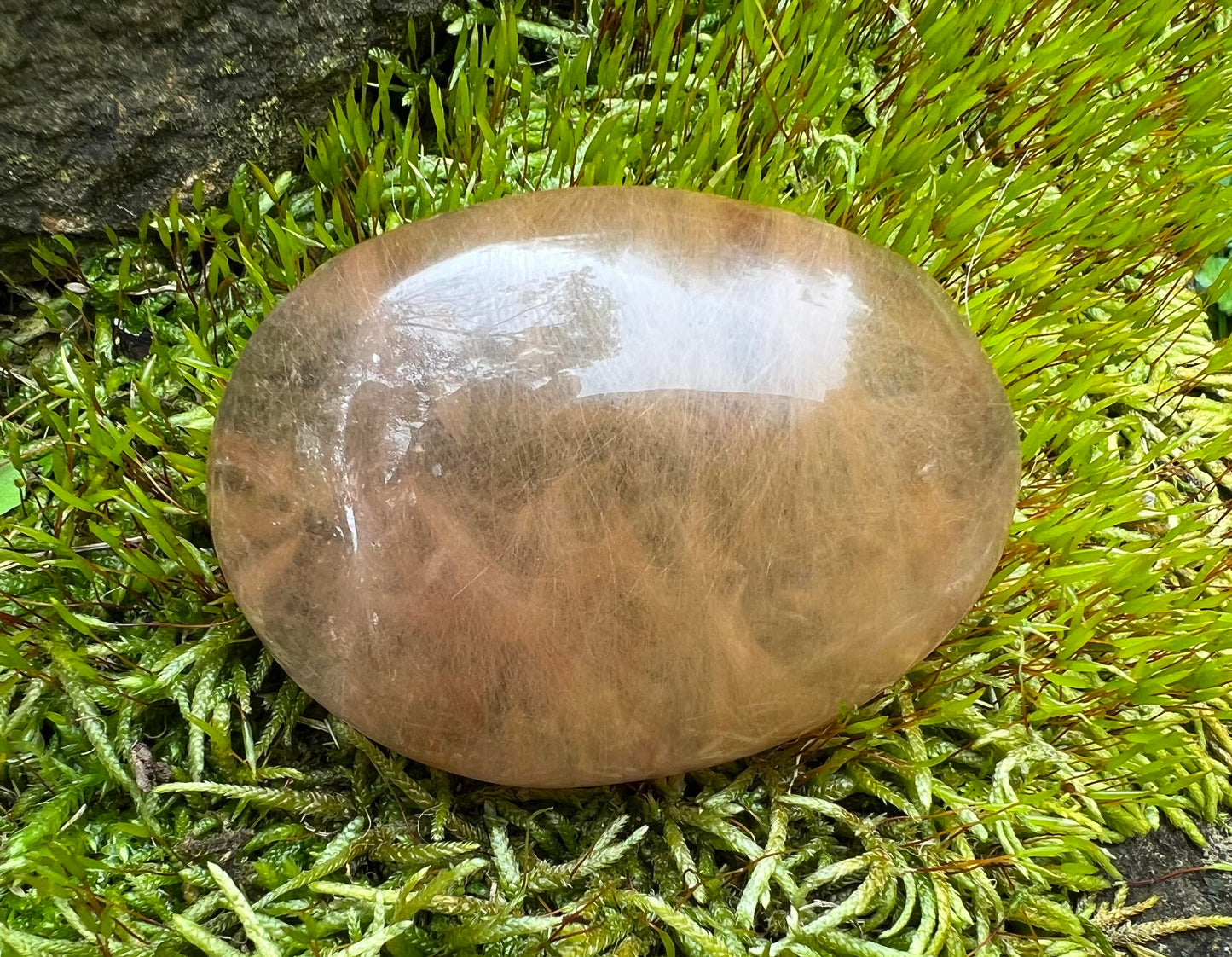 Rutilated Quartz Dome