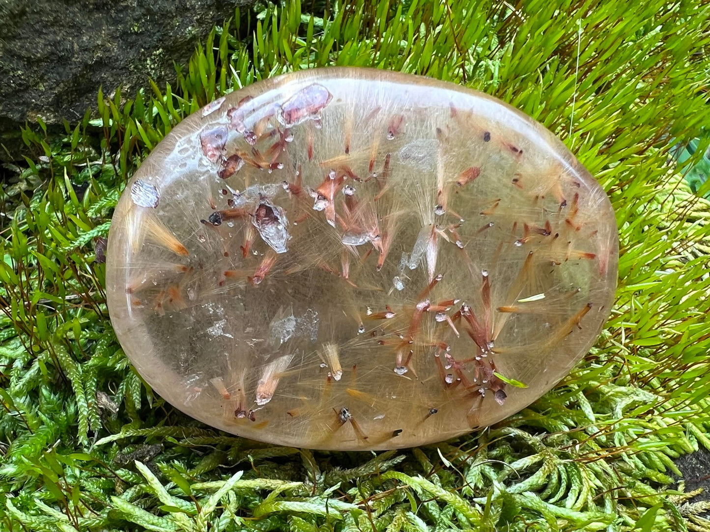 Rutilated Quartz Dome