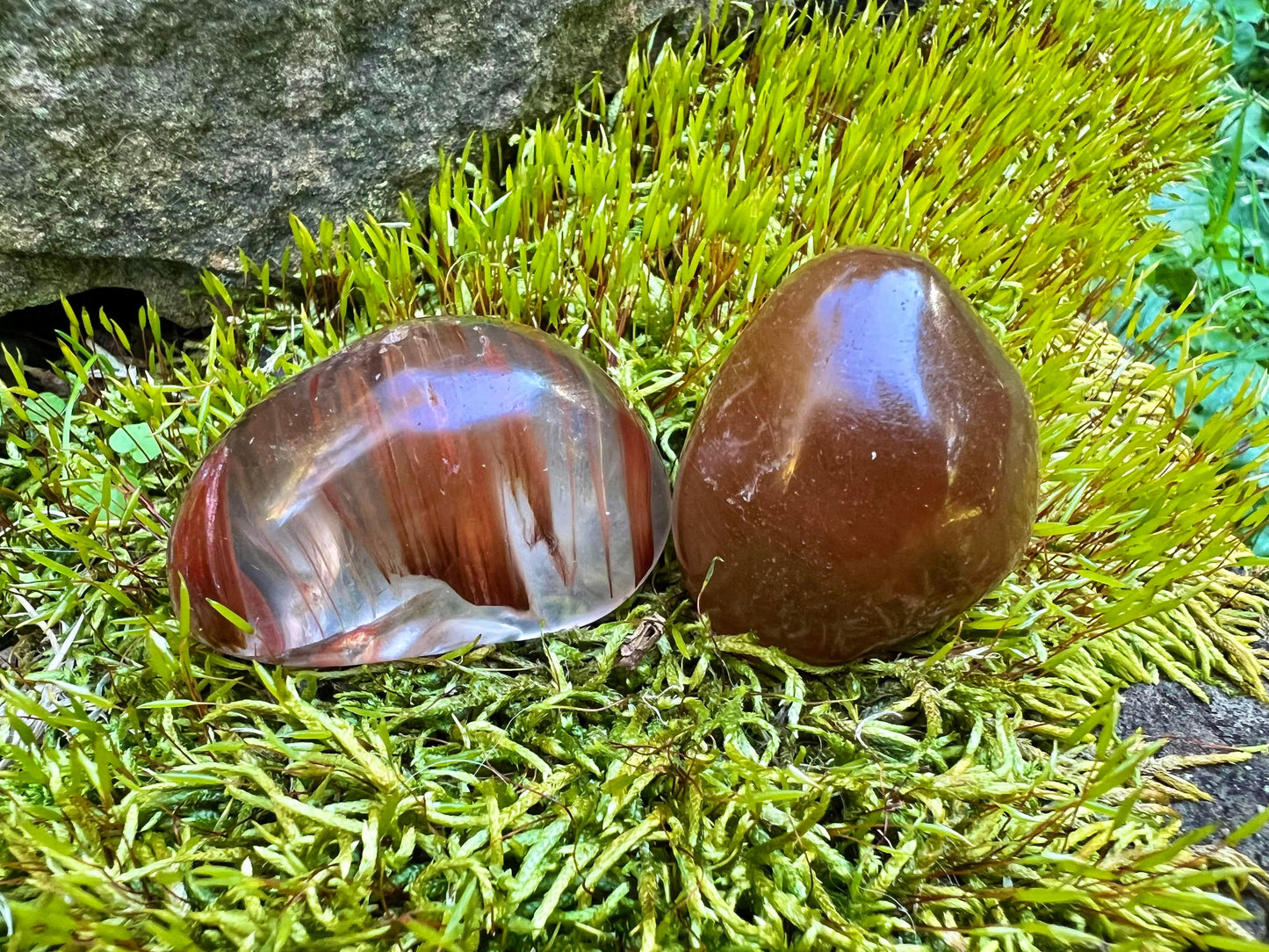 Rutilated and Amphibole Quartz Dome Pair