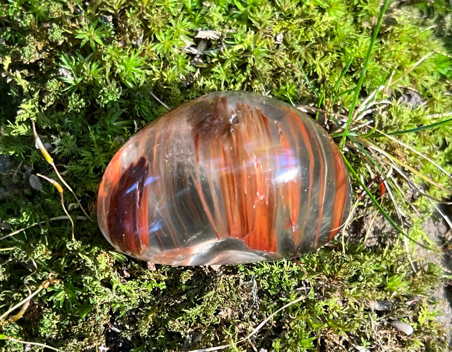 Rutilated and Amphibole Quartz Dome Pair