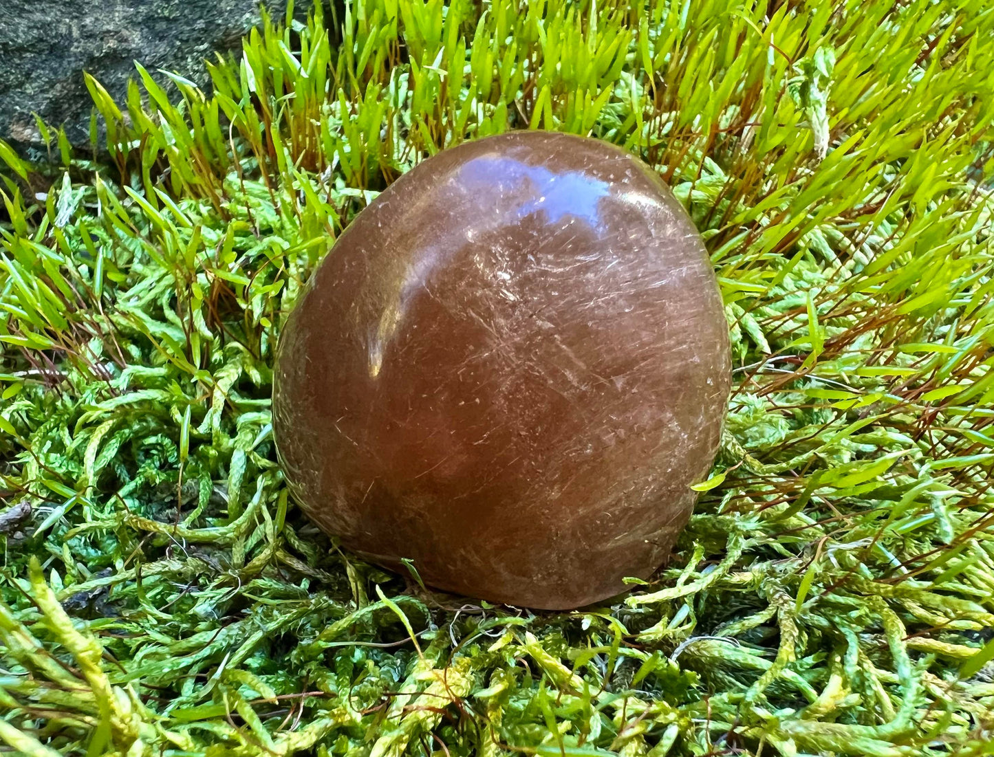 Rutilated and Amphibole Quartz Dome Pair