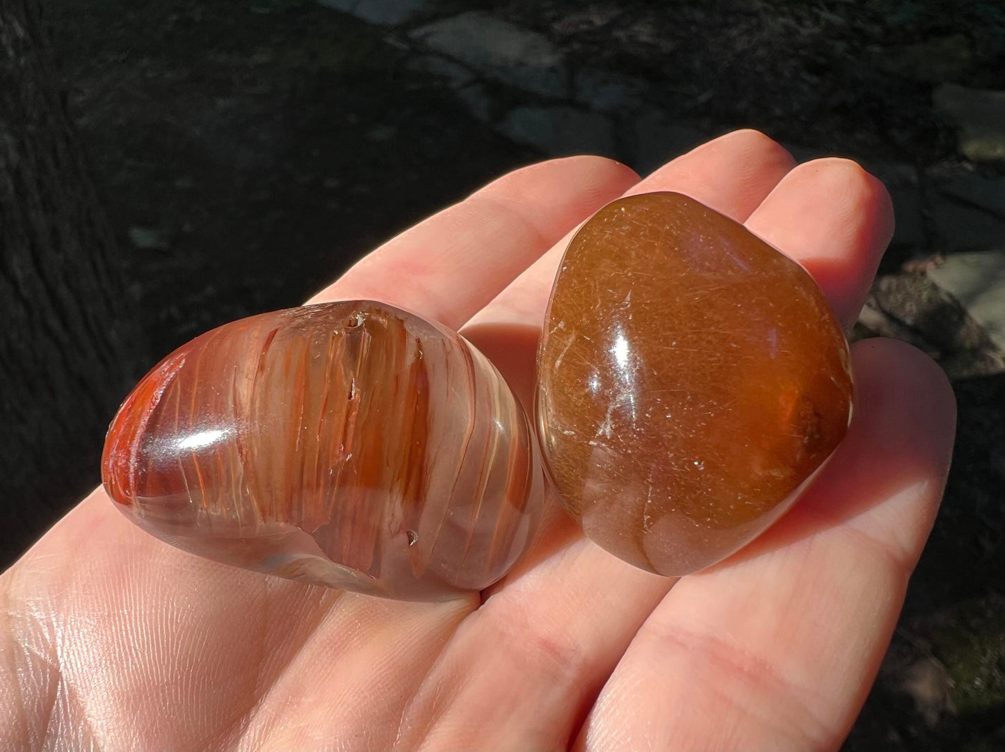 Rutilated and Amphibole Quartz Dome Pair