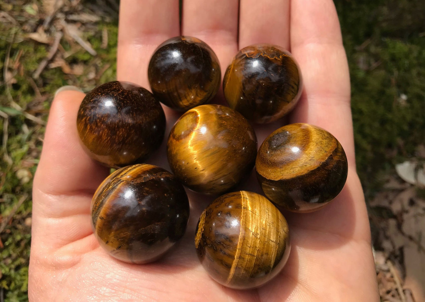 Tiger's Eye Spheres - Gem Realm 